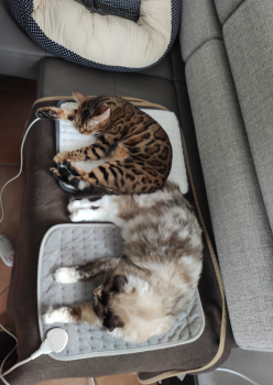 Mila Bild von Mila