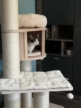 Sasha Bild von Sasha