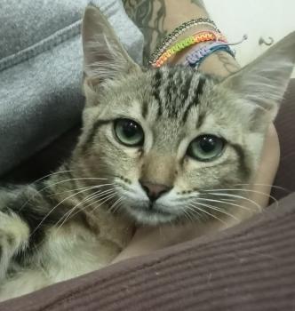 Lulú Bild von Lulú
