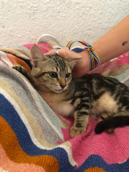 Lulú Bild von Lulú