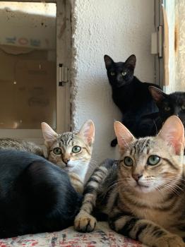 Lulú Bild von Lulú