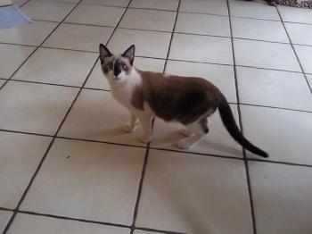 Taps Bild von Taps-Boliche