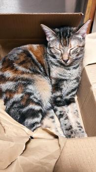 Elanor Bild von Elanor