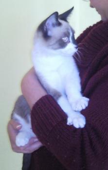 Taps Bild von Taps-Boliche