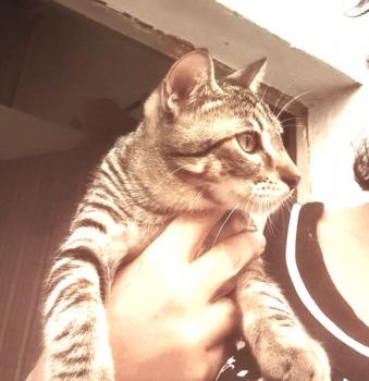 Filou Bild von Filou