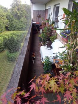 Irina Bild von Irina