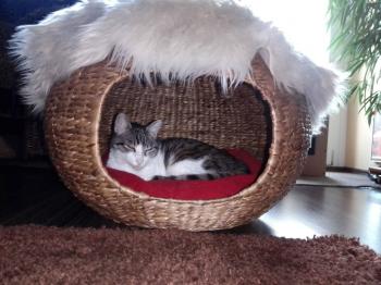 Irina Bild von Irina