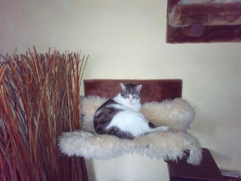 Irina Bild von Irina