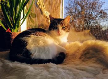 Irina Bild von Irina