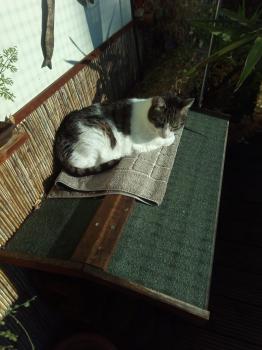 Irina Bild von Irina