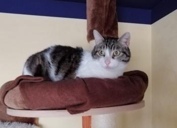 Irina Bild von Irina