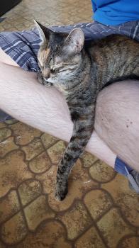 Estela Bild von Estela