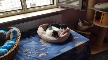 Pinky Bild von Pinky