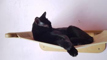 Morty Bild von Morty