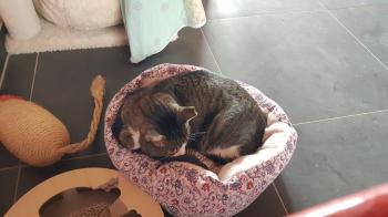 Luky Bild von Luky