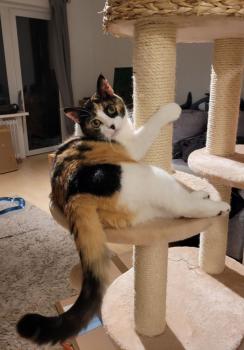 Mina Bild von Mina