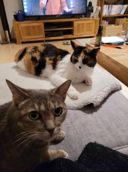 Mina Bild von Mina
