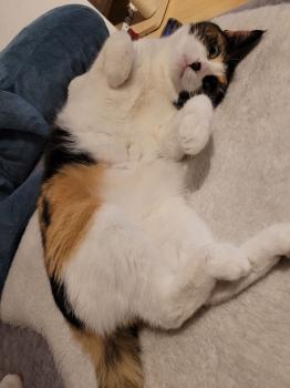 Mina Bild von Mina