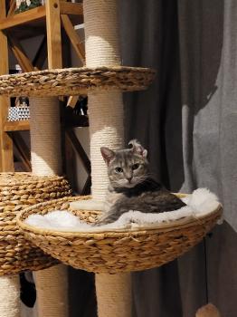 Nyasha Bild von Nyasha