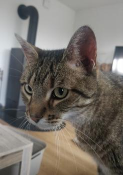 Princess Bild von Princess