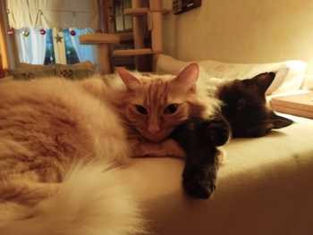 Elda Bild von Elda