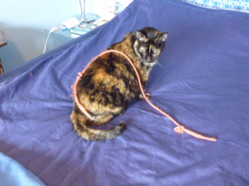 Rosalind Bild von Rosalind