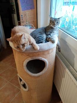Alda Bild von Alda