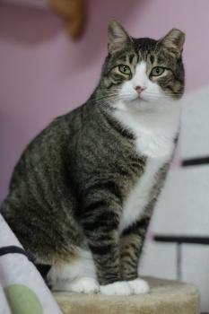 Luky Bild von Luky