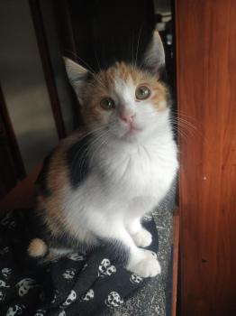Nina Bild von Nina