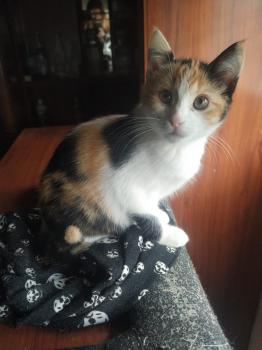 Nina Bild von Nina