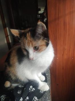 Nina Bild von Nina