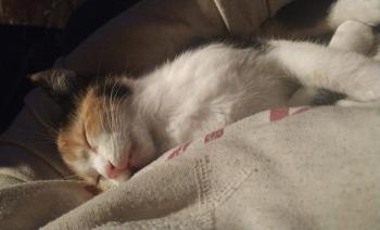 Nina Bild von Nina