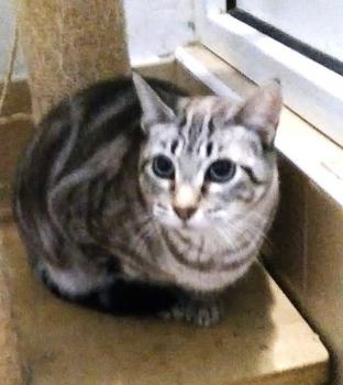 Babette Bild von Babette
