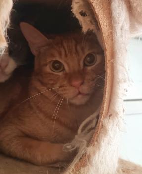 Susumu Bild von Susumu