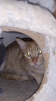 Susumu Bild von Susumu