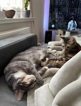 Elanor Bild von Elanor