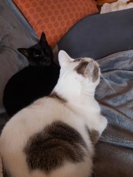 Desirée Bild von Desirée