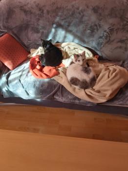 Desirée Bild von Desirée