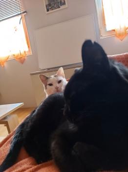 Desirée Bild von Desirée