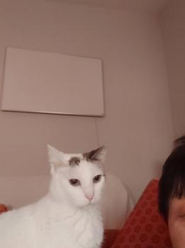 Desirée Bild von Desirée