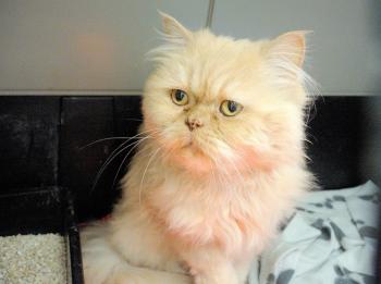 Coco Bild von Coco