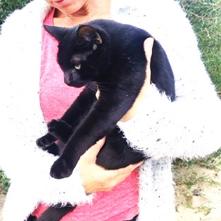 Charlie Bild von Charlie