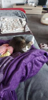 Luky Bild von Luky