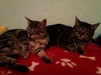 Umi Bild von Umi