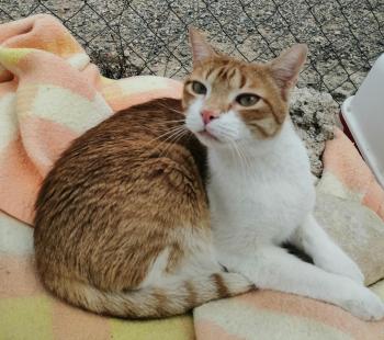 Oliver Bild von Oliver