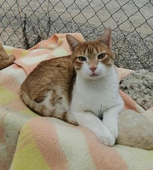 Oliver Bild von Oliver
