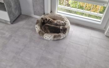 Aziza Bild von Aziza