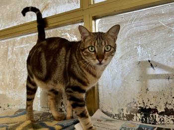 Pin Bild von Pin