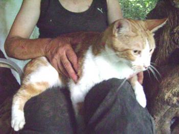 Rubi Bild von Rubi