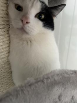 Wilma Bild von Wilma